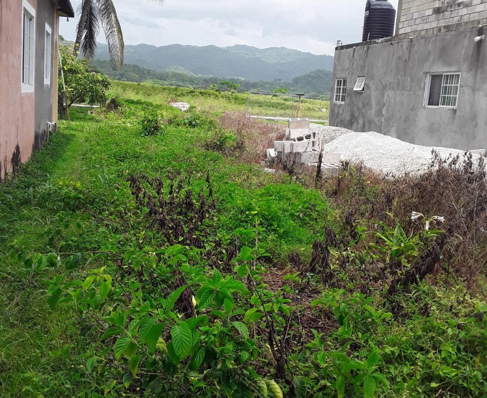First image of Frome Blvd in Petersfield, Westmoreland, Jamaica - property is For Sale