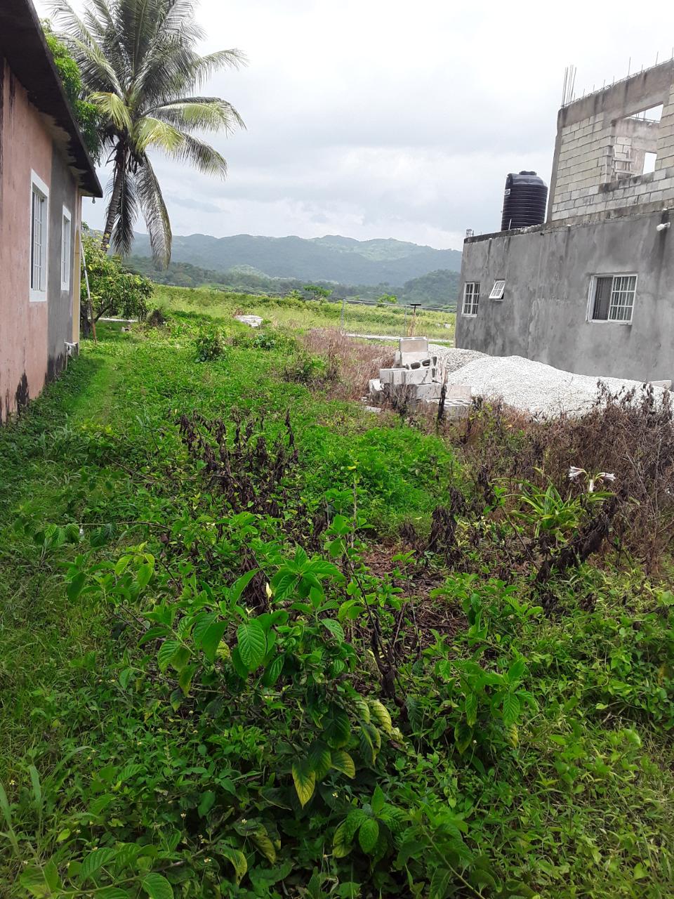 First image of Frome Blvd in Petersfield, Westmoreland, Jamaica - property is For Sale