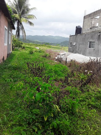 First image of Frome Blvd in Petersfield, Westmoreland, Jamaica - property is For Sale