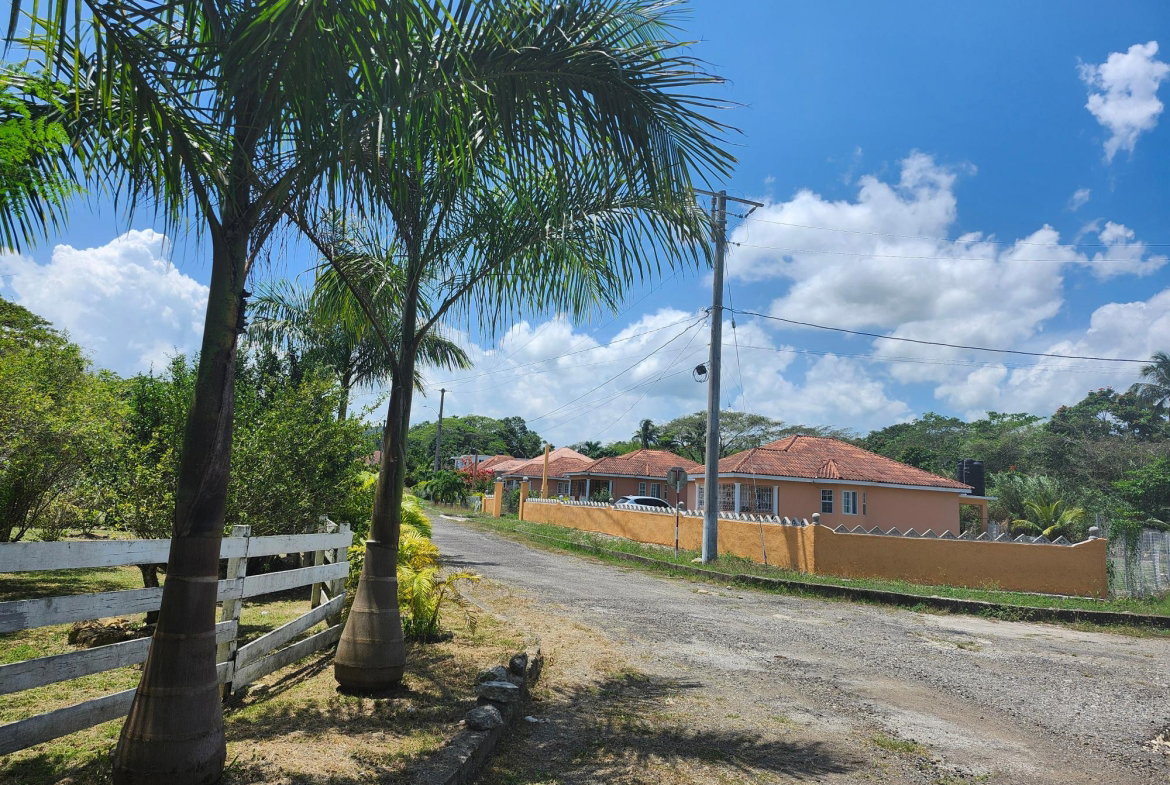 Third image of Lot 149- Whitehall Estate in Whitehall, St. Mary, Jamaica - property is For Sale