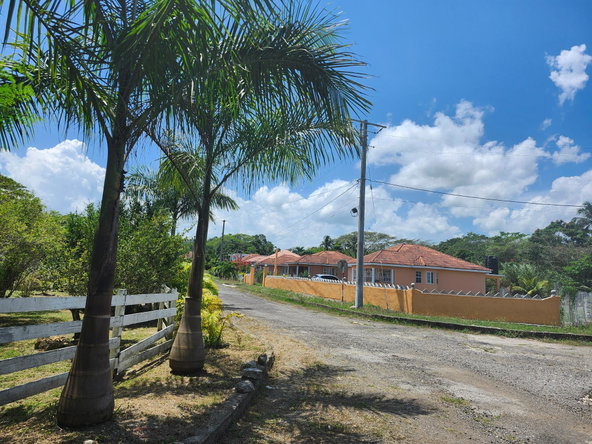 Third image of Lot 149- Whitehall Estate in Whitehall, St. Mary, Jamaica - property is For Sale