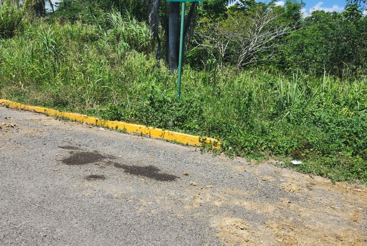 Fourth image of Lot 149- Whitehall Estate in Whitehall, St. Mary, Jamaica - property is For Sale
