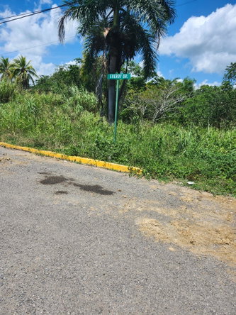 Fourth image of Lot 149- Whitehall Estate in Whitehall, St. Mary, Jamaica - property is For Sale