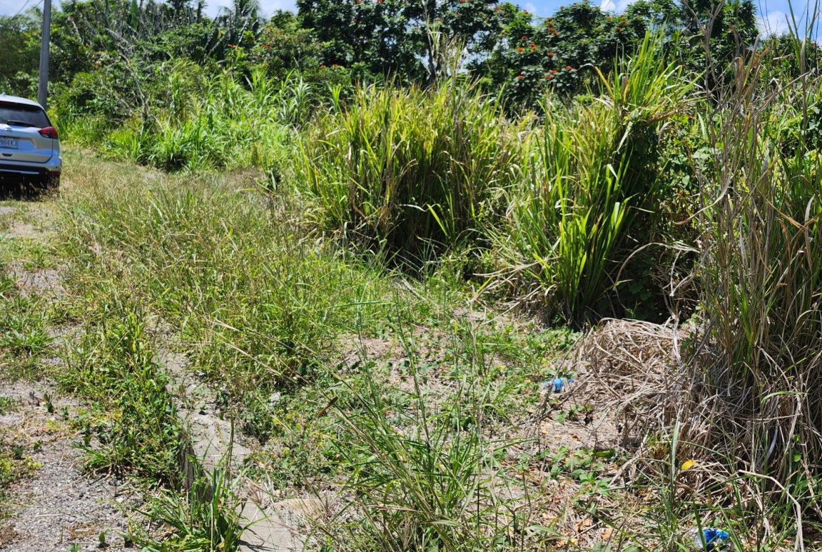 Fifth image of Lot 149- Whitehall Estate in Whitehall, St. Mary, Jamaica - property is For Sale