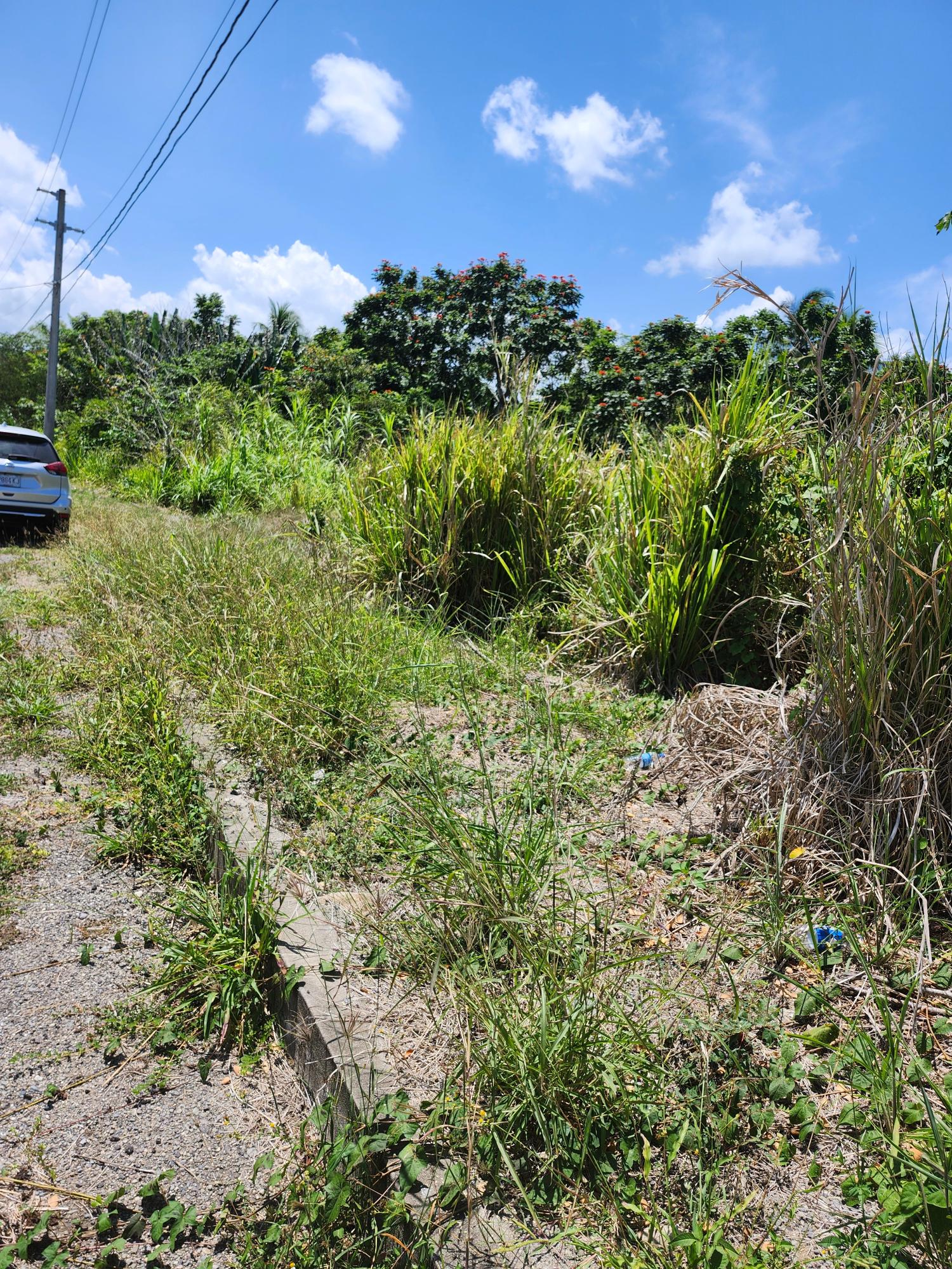 Residential-Lot-for-Sale-in-Whitehall-Estate-St.-Mary-Jamaica Fifth image of Lot 149- Whitehall Estate in Whitehall, St. Mary, Jamaica - property is For Sale