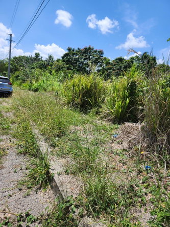 Fifth image of Lot 149- Whitehall Estate in Whitehall, St. Mary, Jamaica - property is For Sale