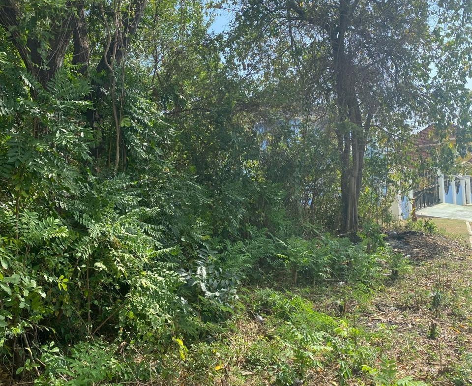 Second image of 17 Culloden Beach Drive, Whi in WHITEHOUSE, Westmoreland, Jamaica - property is For Sale