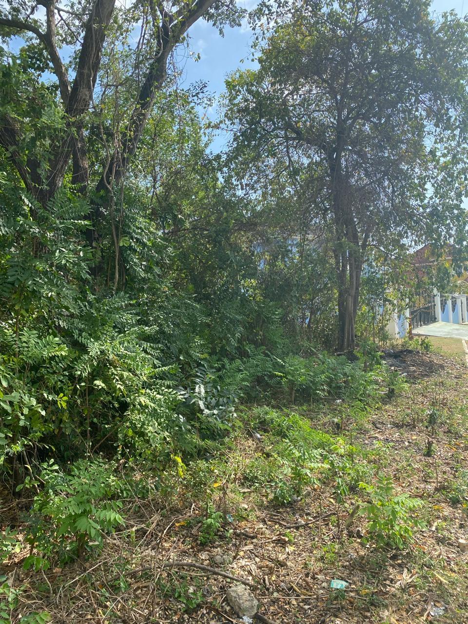 Residential-Lot-for-Sale-in-Whitehouse-Jamaica-17-Culloden-Beach-Drive Second image of 17 Culloden Beach Drive, Whi in WHITEHOUSE, Westmoreland, Jamaica - property is For Sale