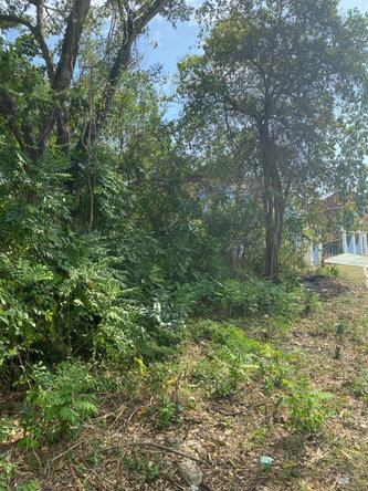 Fourteenth image of 17 Culloden Beach Drive, Whi in WHITEHOUSE, Westmoreland, Jamaica - property is For Sale