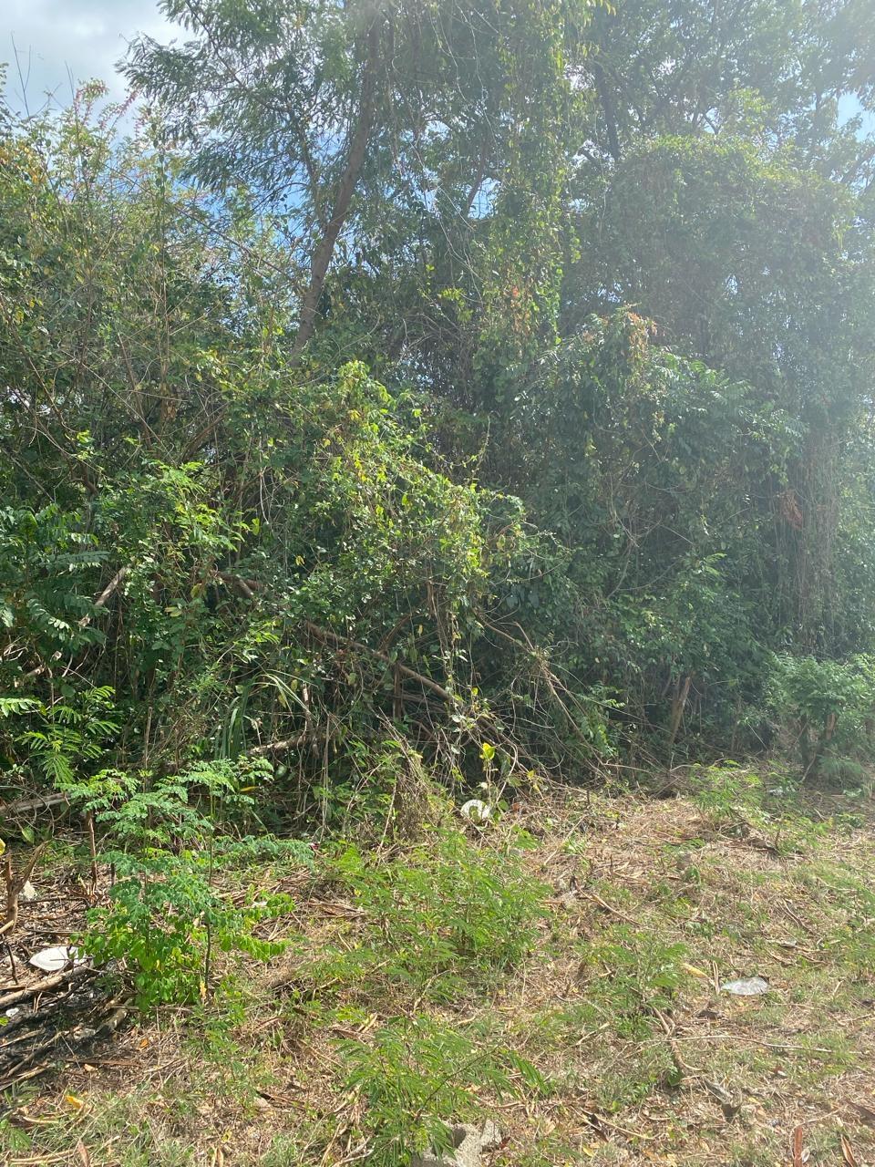 Residential-Lot-for-Sale-in-Whitehouse-Jamaica-17-Culloden-Beach-Drive Fifth image of 17 Culloden Beach Drive, Whi in WHITEHOUSE, Westmoreland, Jamaica - property is For Sale