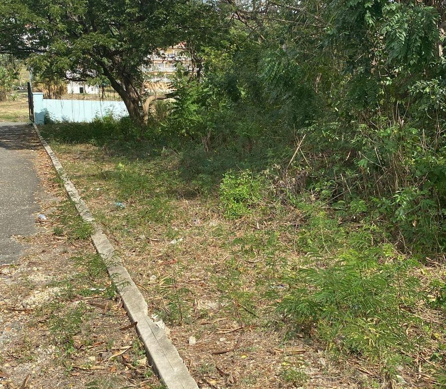 Tenth image of 17 Culloden Beach Drive, Whi in WHITEHOUSE, Westmoreland, Jamaica - property is For Sale
