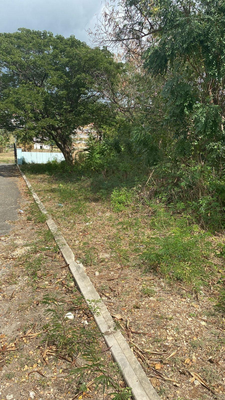 Residential-Lot-for-Sale-in-Whitehouse-Jamaica-17-Culloden-Beach-Drive Tenth image of 17 Culloden Beach Drive, Whi in WHITEHOUSE, Westmoreland, Jamaica - property is For Sale