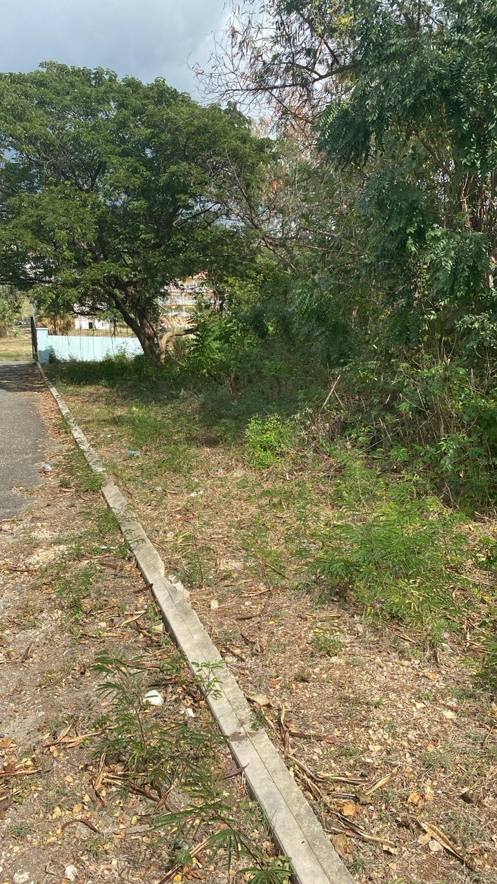 Residential-Lot-for-Sale-in-Whitehouse-Jamaica-17-Culloden-Beach-Drive First image of 17 Culloden Beach Drive, Whi in WHITEHOUSE, Westmoreland, Jamaica - property is For Sale