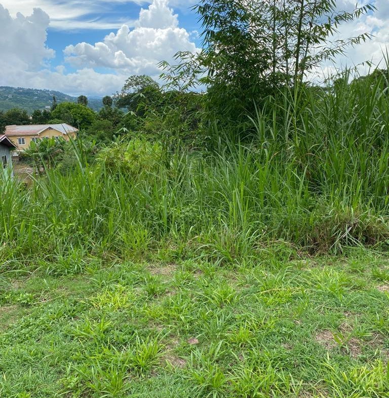 Twelfth image of Lot 74- Melrose Crescent, William in Williamsfield, Manchester, Jamaica - property is For Sale