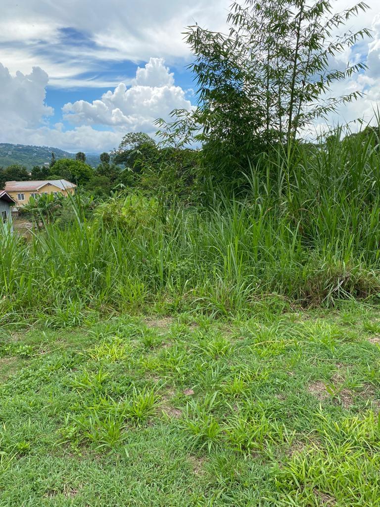 Twelfth image of Lot 74- Melrose Crescent, William in Williamsfield, Manchester, Jamaica - property is For Sale
