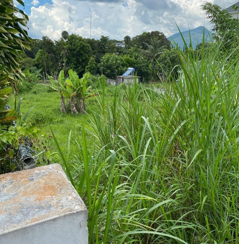Third image of Lot 74- Melrose Crescent, William in Williamsfield, Manchester, Jamaica - property is For Sale