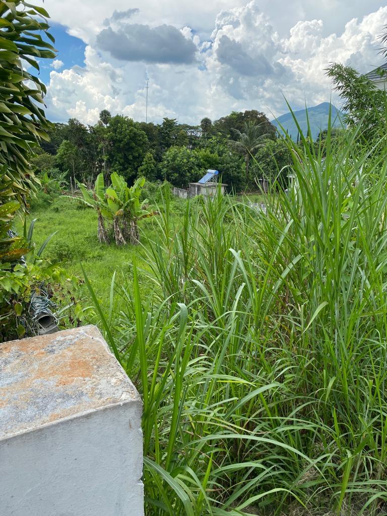 Third image of Lot 74- Melrose Crescent, William in Williamsfield, Manchester, Jamaica - property is For Sale