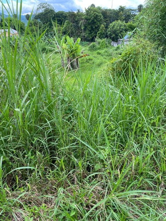 Fourth image of Lot 74- Melrose Crescent, William in Williamsfield, Manchester, Jamaica - property is For Sale