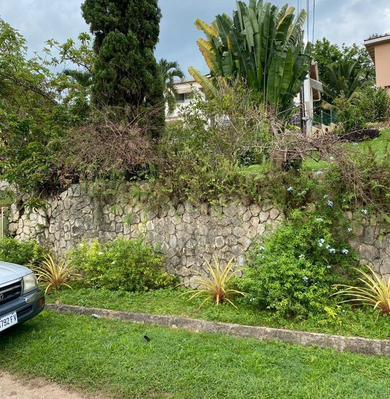 Sixth image of Lot 74- Melrose Crescent, William in Williamsfield, Manchester, Jamaica - property is For Sale