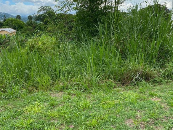 First image of Lot 74- Melrose Crescent, William in Williamsfield, Manchester, Jamaica - property is For Sale