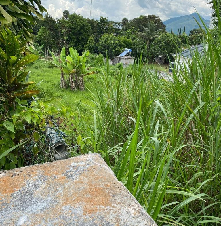 Seventh image of Lot 74- Melrose Crescent, William in Williamsfield, Manchester, Jamaica - property is For Sale
