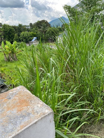 Eighth image of Lot 74- Melrose Crescent, William in Williamsfield, Manchester, Jamaica - property is For Sale