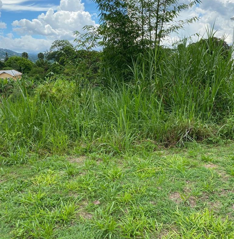First image of Lot 74- Melrose Crescent, William in Williamsfield, Manchester, Jamaica - property is For Sale