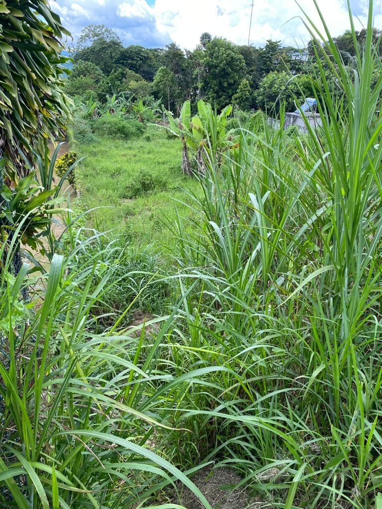 Ninth image of Lot 74- Melrose Crescent, William in Williamsfield, Manchester, Jamaica - property is For Sale