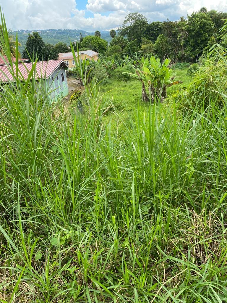Tenth image of Lot 74- Melrose Crescent, William in Williamsfield, Manchester, Jamaica - property is For Sale