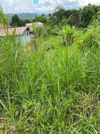 Tenth image of Lot 74- Melrose Crescent, William in Williamsfield, Manchester, Jamaica - property is For Sale