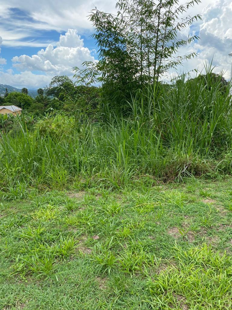 First image of Lot 74- Melrose Crescent, William in Williamsfield, Manchester, Jamaica - property is For Sale