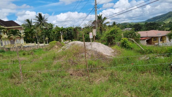 Fifth image of Comfort Williamsfield in Comfort, Manchester, Jamaica - property is For Sale