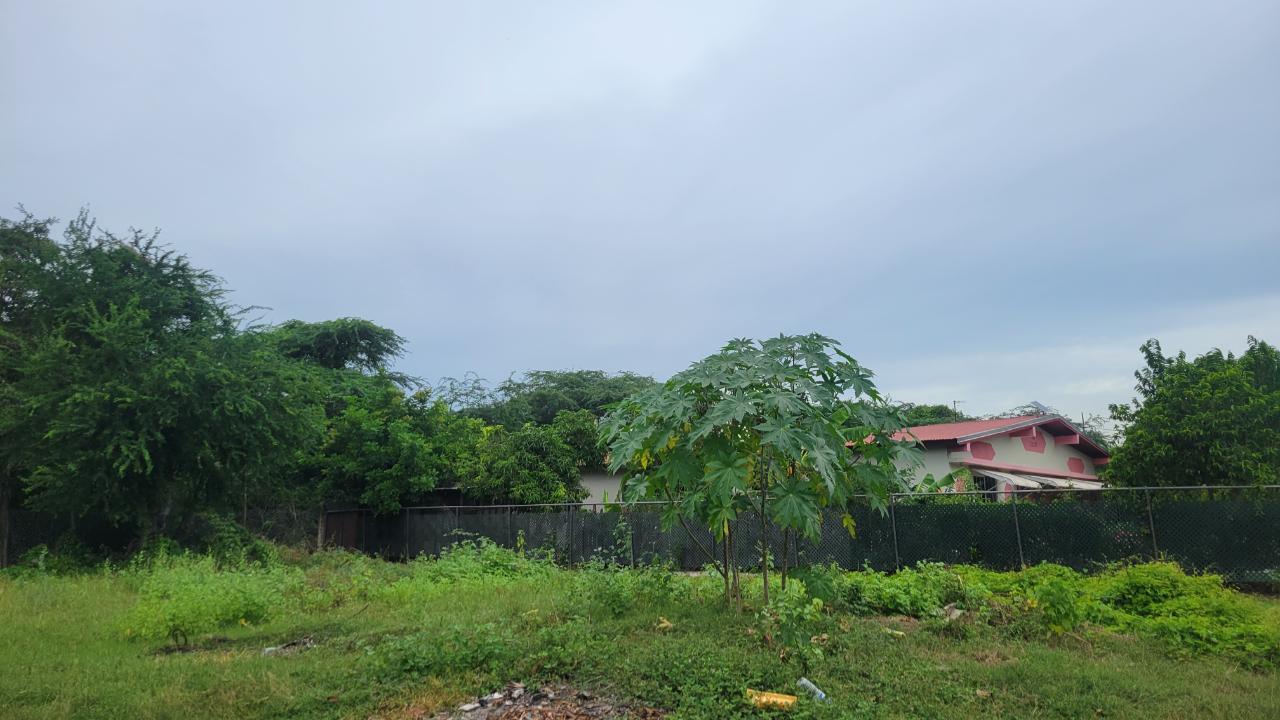 Residential-Lot-for-Sale-in-Willowdene-St.-Catherine-7-Clayton-Close Second image of 7 Clayton Close in Spanish Town, St. Catherine, Jamaica - property is For Sale