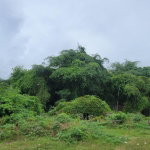First image of 7 Clayton Close in Spanish Town, St. Catherine, Jamaica - property is For Sale
