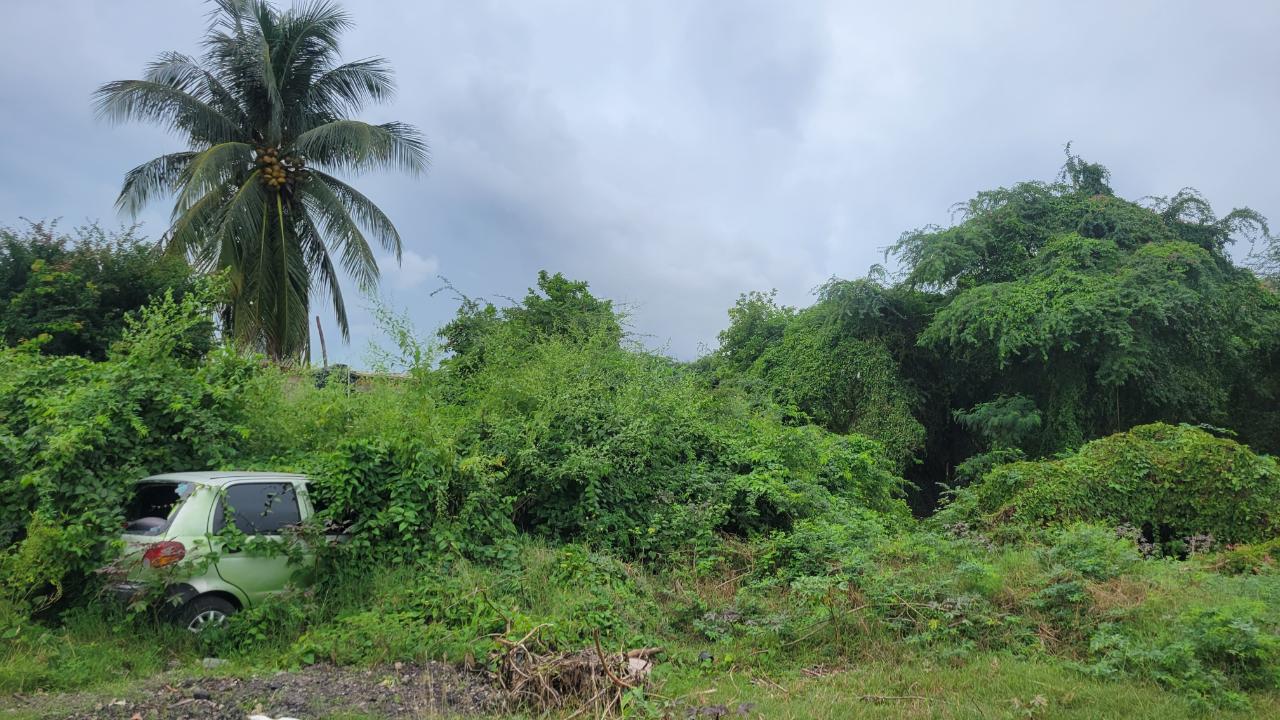 Residential-Lot-for-Sale-in-Willowdene-St.-Catherine-7-Clayton-Close Third image of 7 Clayton Close in Spanish Town, St. Catherine, Jamaica - property is For Sale