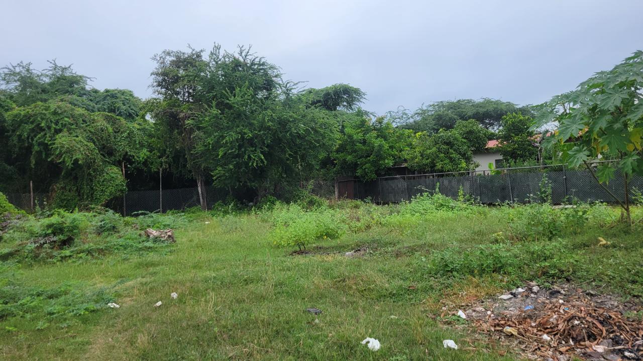 Residential-Lot-for-Sale-in-Willowdene-St.-Catherine-7-Clayton-Close Fourth image of 7 Clayton Close in Spanish Town, St. Catherine, Jamaica - property is For Sale