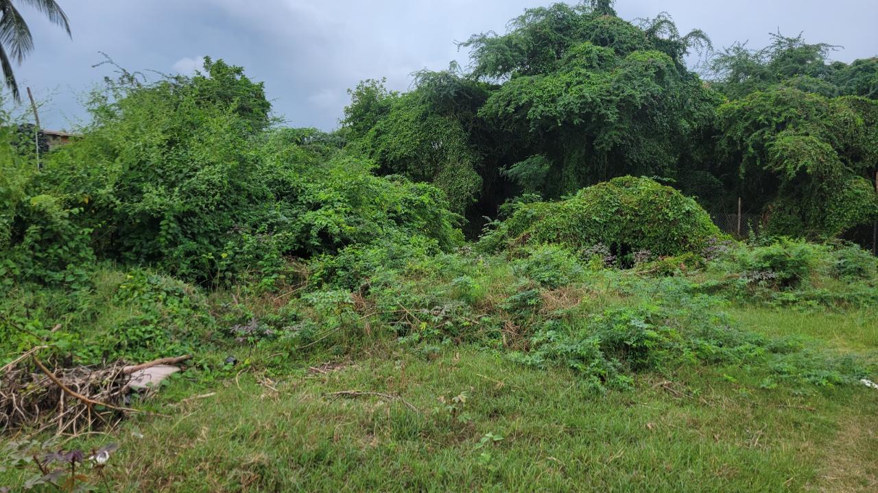 Residential-Lot-for-Sale-in-Willowdene-St.-Catherine-7-Clayton-Close Fifth image of 7 Clayton Close in Spanish Town, St. Catherine, Jamaica - property is For Sale
