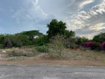 First image of View Point Close in Falmouth, Trelawny, Jamaica - property is For Sale