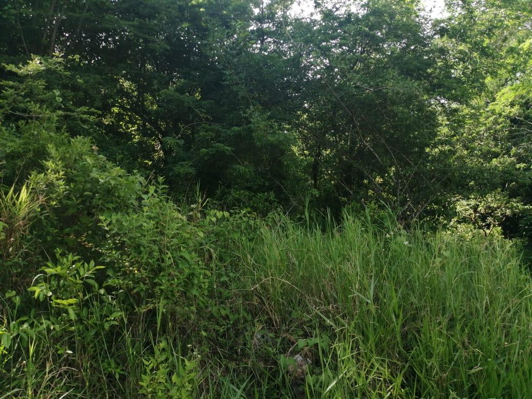 Third image of Woodlawn Cres Georges Val in Mandeville, Manchester, Jamaica - property is For Sale