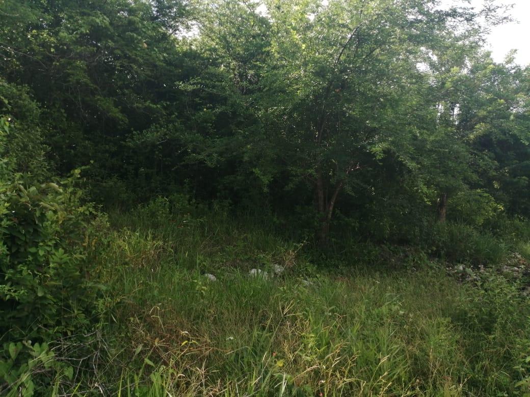 Fifth image of Woodlawn Cres Georges Val in Mandeville, Manchester, Jamaica - property is For Sale