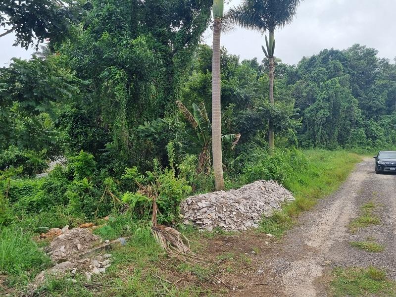 Second image of 15 Woodlawn, Mandeville in Woodlawn Phase 2, Manchester, Jamaica - property is For Sale