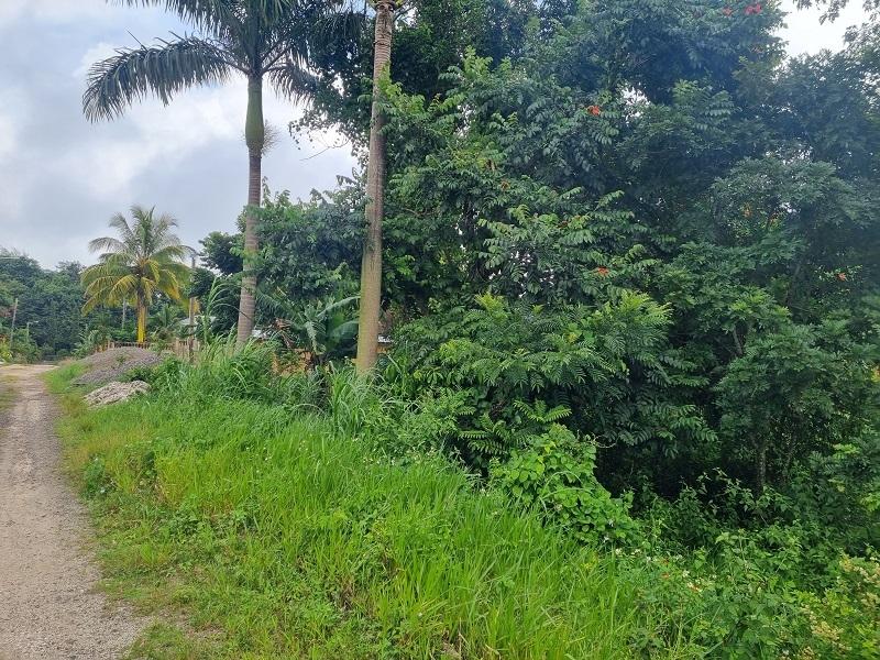 Third image of 15 Woodlawn, Mandeville in Woodlawn Phase 2, Manchester, Jamaica - property is For Sale