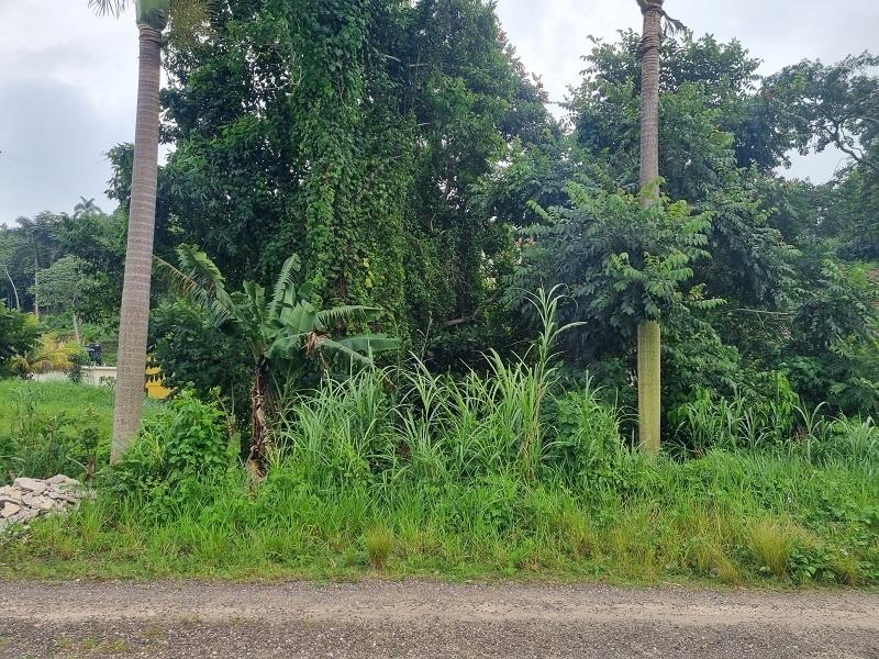 Fourth image of 15 Woodlawn, Mandeville in Woodlawn Phase 2, Manchester, Jamaica - property is For Sale