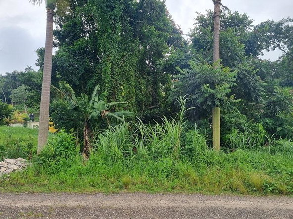 Fourth image of 15 Woodlawn, Mandeville in Woodlawn Phase 2, Manchester, Jamaica - property is For Sale