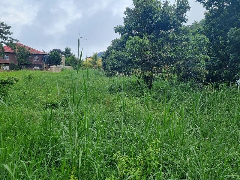 Fifth image of 15 Woodlawn, Mandeville in Woodlawn Phase 2, Manchester, Jamaica - property is For Sale