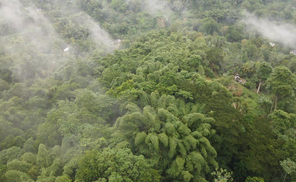 First image of 199 Harkers Hall in Harkers Hall, St. Catherine, Jamaica - property is For Sale