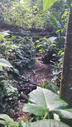 Sixth image of 187 Harkers Hall in Harkers Hall, St. Catherine, Jamaica - property is For Sale