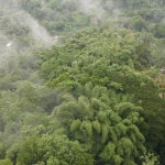 First image of 199 Harkers Hall in Harkers Hall, St. Catherine, Jamaica - property is For Sale