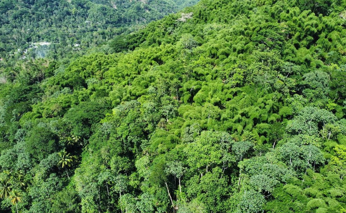Third image of 199 Harkers Hall in Harkers Hall, St. Catherine, Jamaica - property is For Sale