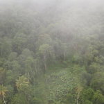 First image of Lot 268 Harkers Hall in Harkers Hall, St. Catherine, Jamaica - property is For Sale